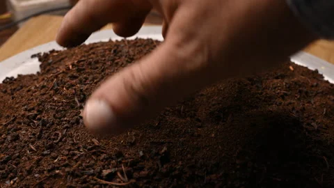 A man check quality of Earl Grey Black Mixer Tea Powder Texture Close Up Stock Footage 326023332