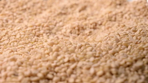 A Man Check Quality Of Raw Split Dried White Urad Dal Stock-Footage 325172831