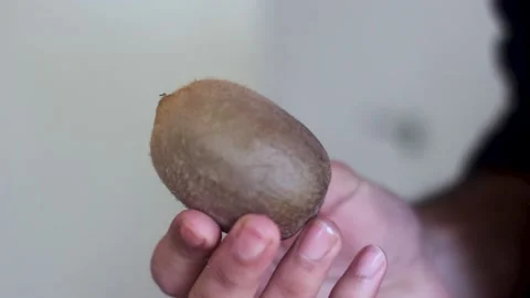 Man Checking The Quality of Kiwi Fruit Stock Footage 148409818