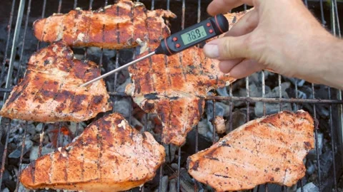 Man checking turkey steaks on a barbecue with a digital thermometer Stock Footage 295113851