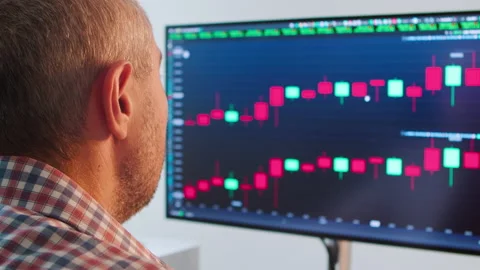 Man checks a bitcoin price chart on a digital exchange on a computer. Stock Footage 232491046