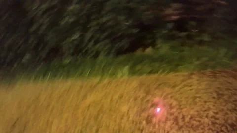 A man checks the charge in a external battery on the street at night 스톡 동영상 100451991