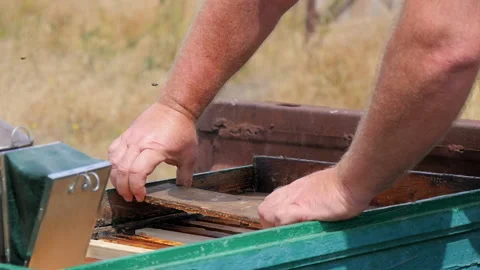 A Man Checks Frames with Honey Stock Footage 134944190