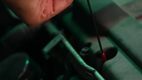 A man checks the oil level in a car engine. Car in a car service. Stock Footage 244196103
