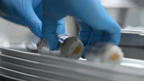 Man chef is putting fish dish on plate while working in restaurant kitchen irrl. Stock Footage 134863756
