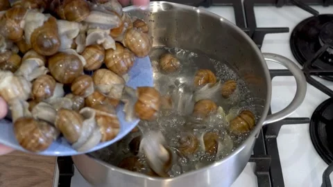 A man, a chef, throws grape snails into a pot of boiling water in the kitchen Video stock 163517520