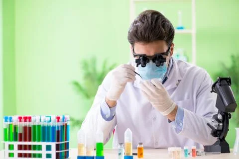 Man chemist working in the lab Fotos Stock