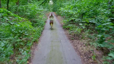 A man with a child riding a bicycle in the forest, in the summer, the child is Stock-Footage 80445679