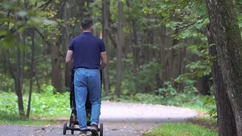 A man with a child in a stroller walks in a forest park Stock Footage 251956257