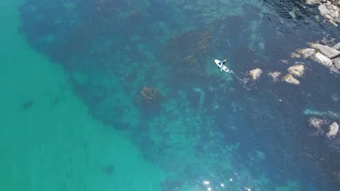 Man with a child swims on a sup board on clear transparent water with stones and Stock Footage 311344777