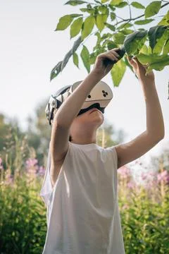 Man child in virtual reality glasses touches leaves Stock Photos