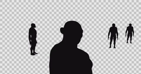 Man to Chimp Silhouettes Video stock 63075080