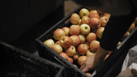 Man Chooses Apples in a Fruit Store Stock Footage 97794509