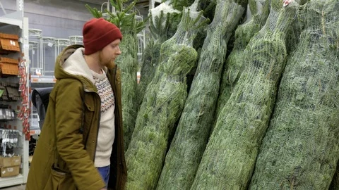 Man chooses a Christmas tree in the store Stock Footage 100352510