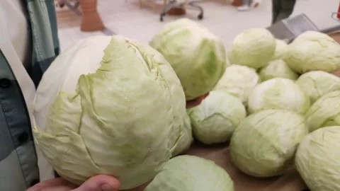 Man chooses large or small white cabbage in supermarket Vidéo 287827304