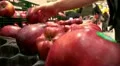 Man chooses some apples at market HD Footage
