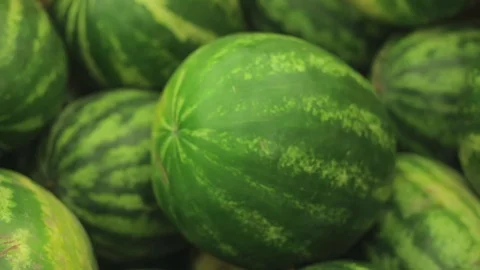 Man chooses a watermelon in the store. hands of a man close up take a watermelon Stock Footage 112854571