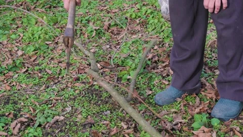 A man is chopping with an axe Stock Footage 295187480