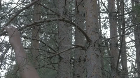 A man chopping branches in the forest Video stock 135839527
