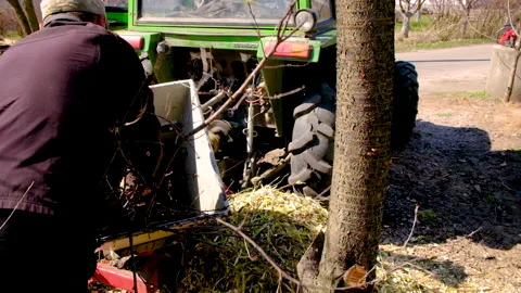 The man is chopping the branches of a tree. Selective focus. Stock Footage 152511505