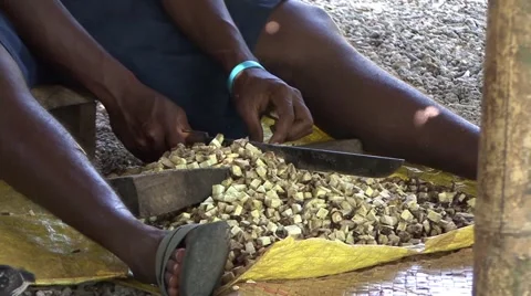 Man chopping fruit close up Video stock 52138237