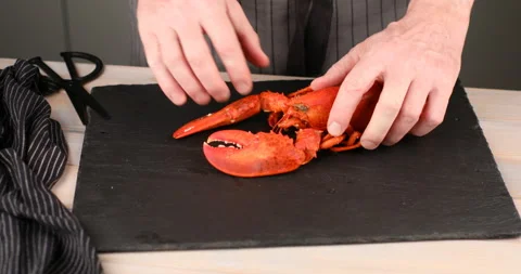 Man chopping lobster Stock Footage 104702032