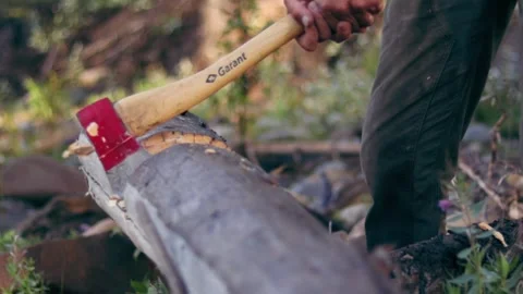 Man Chopping Log with Axe Video stock 270440730