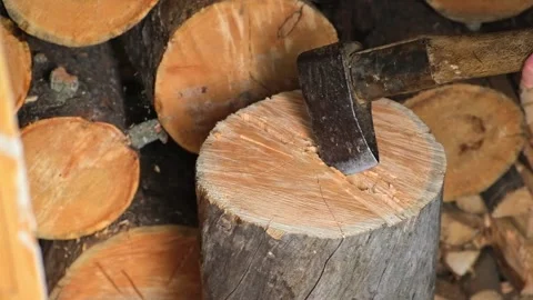 A man is chopping logs with an axe on chopping block. Harvesting of firewood Stock Footage 218614905