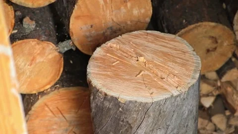 A man is chopping logs with an axe on chopping block. Harvesting of firewood Stock Footage 219751460