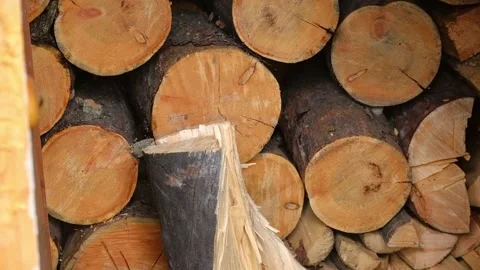 A man is chopping logs with an axe on chopping block. Harvesting of firewood Stock Footage 220886120