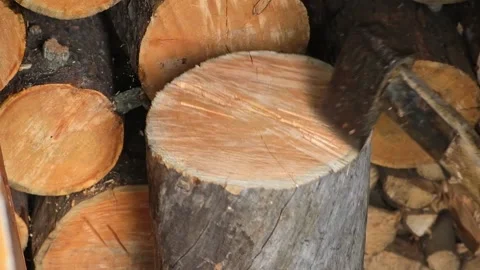 A man is chopping logs with an axe on chopping block. Harvesting of firewood Stock Footage 221583153