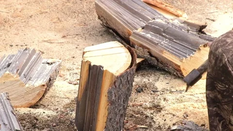 A man is chopping logs with an axe on chopping block. Harvesting of firewood Stock Footage 221583171