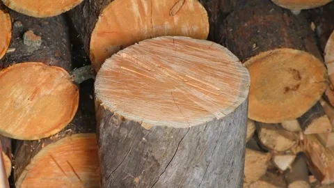 A man is chopping logs with an axe on chopping block. Harvesting of firewood Stock Footage 224372993