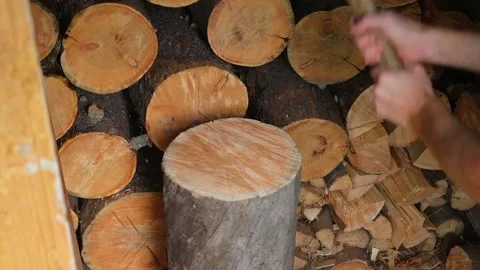 A man is chopping logs with an axe on chopping block. Harvesting of firewood Stock Footage 228298570