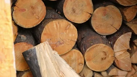 A man is chopping logs with an axe on chopping block. Harvesting of firewood Stock Footage 232265038