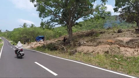 The man chopping old mango tree with an axe, Karimunjawa islands, Indonesia Stock Footage 160124714