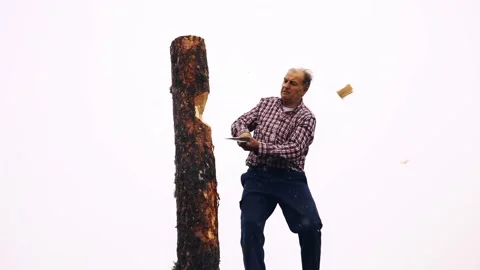 A man chopping a pine tree during the traditional Fiesta de los Gabarreros Stock Footage 304285094