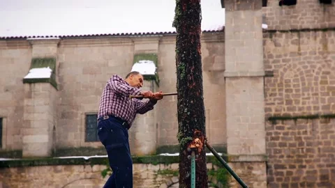 Man chopping a pine tree trunk during the Fiesta de los Gabarreros festival. Stock Footage 304286546