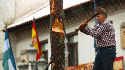 Man chopping a pine trunk with an axe at Fiesta de los Gabareros festival Stock Footage 304285138