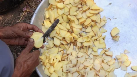 Man Chopping Potatoes on the Floor: A Glimpse of Indian Village Cooking Stock Footage 297484029