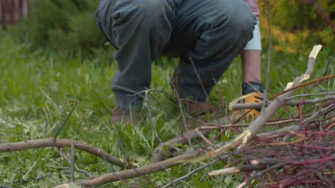 Man chopping tree branch for a bonfire with an ax Stock Footage 130809928