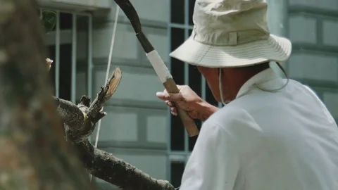 Man chopping tree branch close-up Stock Footage 73527158