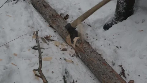 Man chopping tree to create shelter 库存影片 135973071