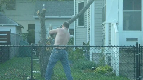 Man Chopping Tree Video stock 856658