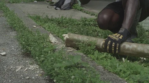 Man Chopping a Tree 스톡 동영상 82172311