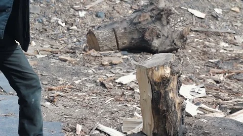 Man chopping wood with an axe Stock Footage 74371312