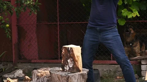 Man chopping wood with axe, Stock Footage 331359300