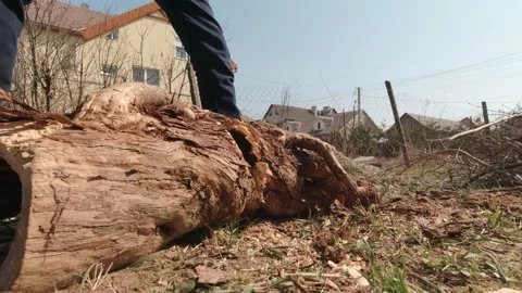 Man Chopping Wood Closeup Slow Motion Stock Footage 191563853
