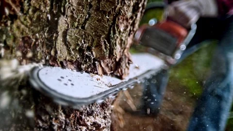 Man chopping wood down with a chainsaw in slow motion Lumberjack cut trees using 스톡 동영상 336570286