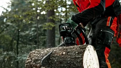 Man chopping wood down with a chainsaw in slow motion Lumberjack cut trees using Stock Footage 336570431